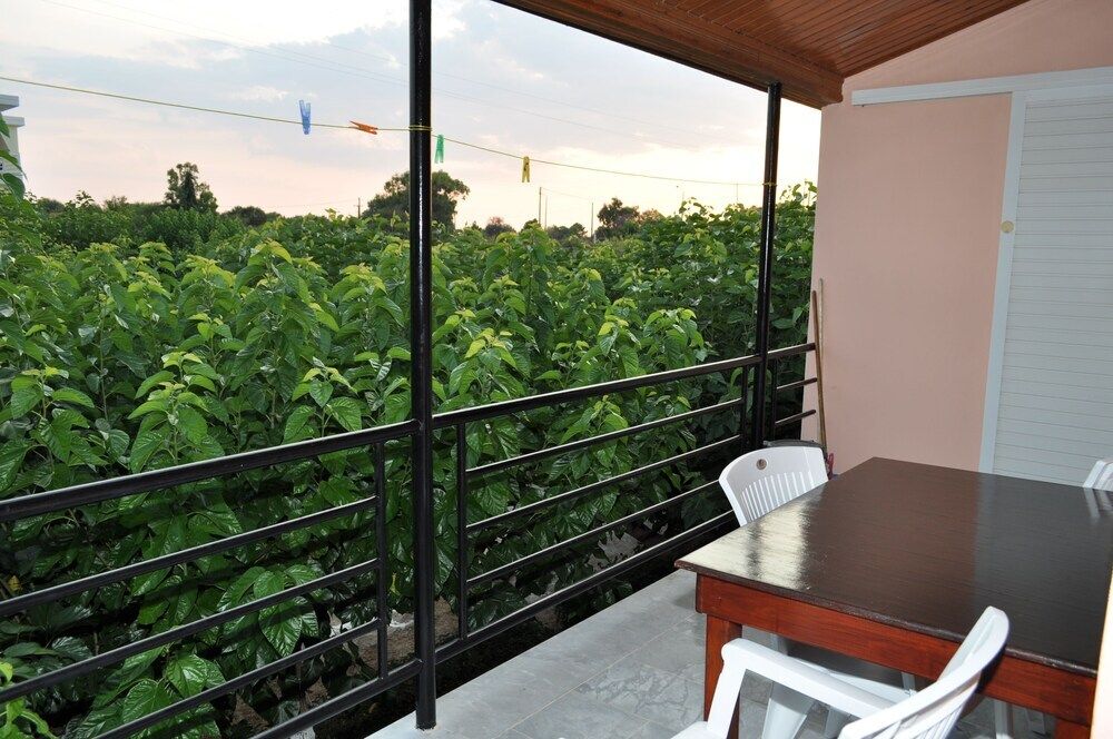 أوليمبيون فيلدج