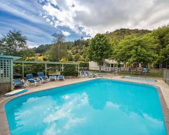 皮克頓 TOP10 假日公園酒店 - 皮可頓 - 皮克頓（新西蘭） - 游泳池