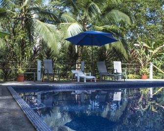 Caribbean Paradise Eco-Lodge - Tortuguero - Piscina