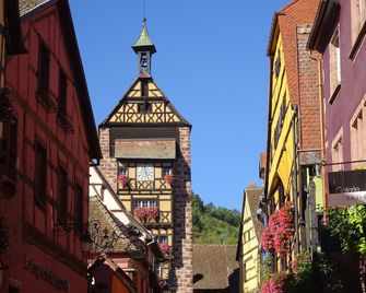 Lune De Miel Tiny House Insolite - Riquewihr - Venkovní prostory
