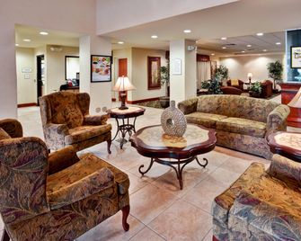 Holiday Inn & Suites Ann Arbor Univ. Michigan Area By IHG - Ann Arbor - Area lounge