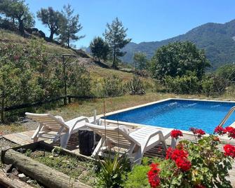 Togo iztuzu Stonehouse-5 - Güvez - Pool