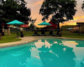 جالفانيزيد أميريكا إن آند آرت جاليري - Pipersville - حوض السباحة