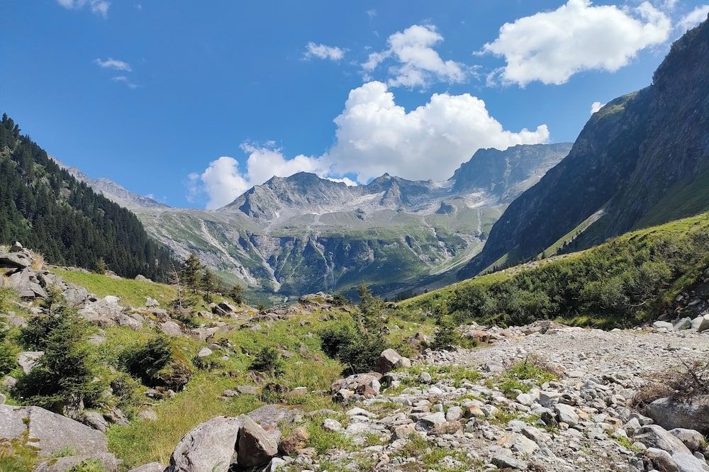 Apart Tuxertal - Finkenberg