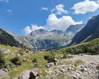 Apart Tuxertal - Finkenberg