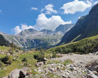 Apart Tuxertal - Finkenberg