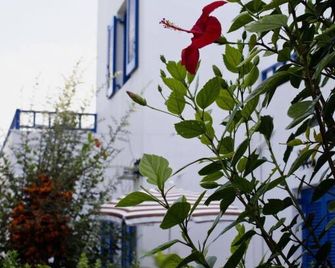 Sirius Apartments - Hersonissos - Outdoor view