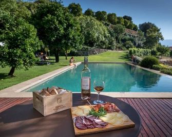 Quinta do Vallado - Douro Wine Hotel - Peso da Régua - Pool