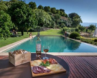 Quinta do Vallado - Douro Wine Hotel - פזו דה רגואה - בריכה