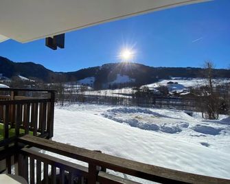 Studio face aux pistes - Praz-sur-Arly - Balcon