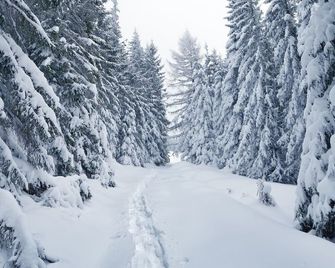 Hotel Hermitage - Sestriere - Ložnice