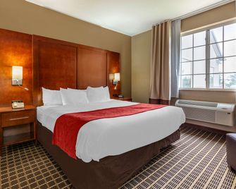 Comfort Suites Delavan - Lake Geneva Area - Delavan - Ložnice