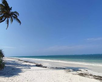 Eco Resort Wildland - Zanzibar - Bwejuu - Strand