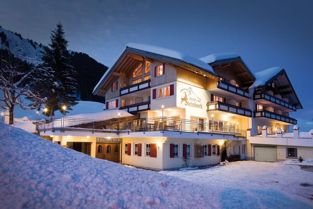 Hotel Steinbock - Mittelberg - Budova