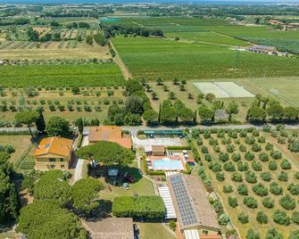 Il Pino - appartamento Alloro - Cecina - Vista esterna