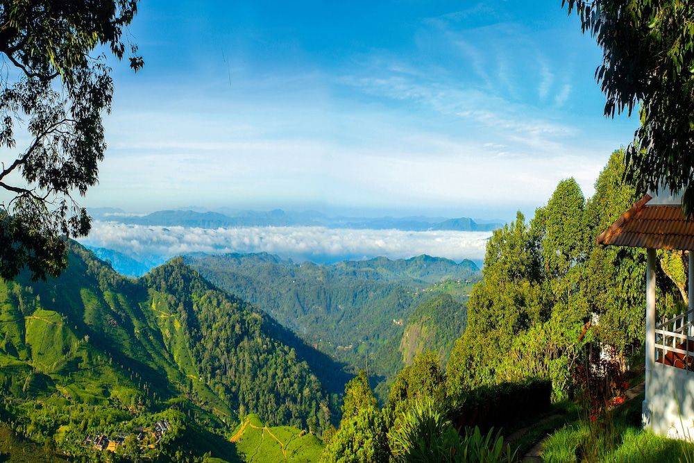 Blackberry Hills Munnar Nature Resort & Spa - Munnar - Extérieur