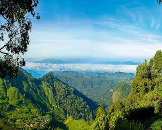Blackberry Hills Munnar Nature Resort & Spa - מונאר - נוף חיצוני