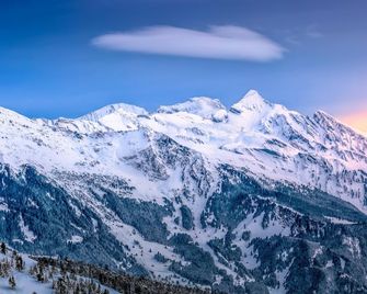 Alpin & Wellness Resort Ludwig Royal - Oberstaufen - Außenansicht