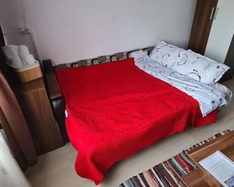 Garsoniera în Brasov - Braşov - Bedroom