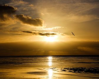 Norfolk Farm Stays by Beach Dog Friendly - King's Lynn