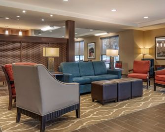Comfort Inn Pa Turnpike - I-81 - Carlisle - Лаунж
