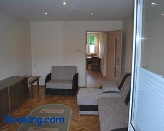 Mieszkanie Solina - Solina - Living room