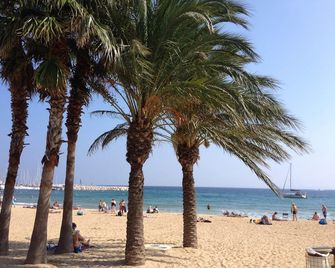 Mas Provençal - Le Lavandou - Playa