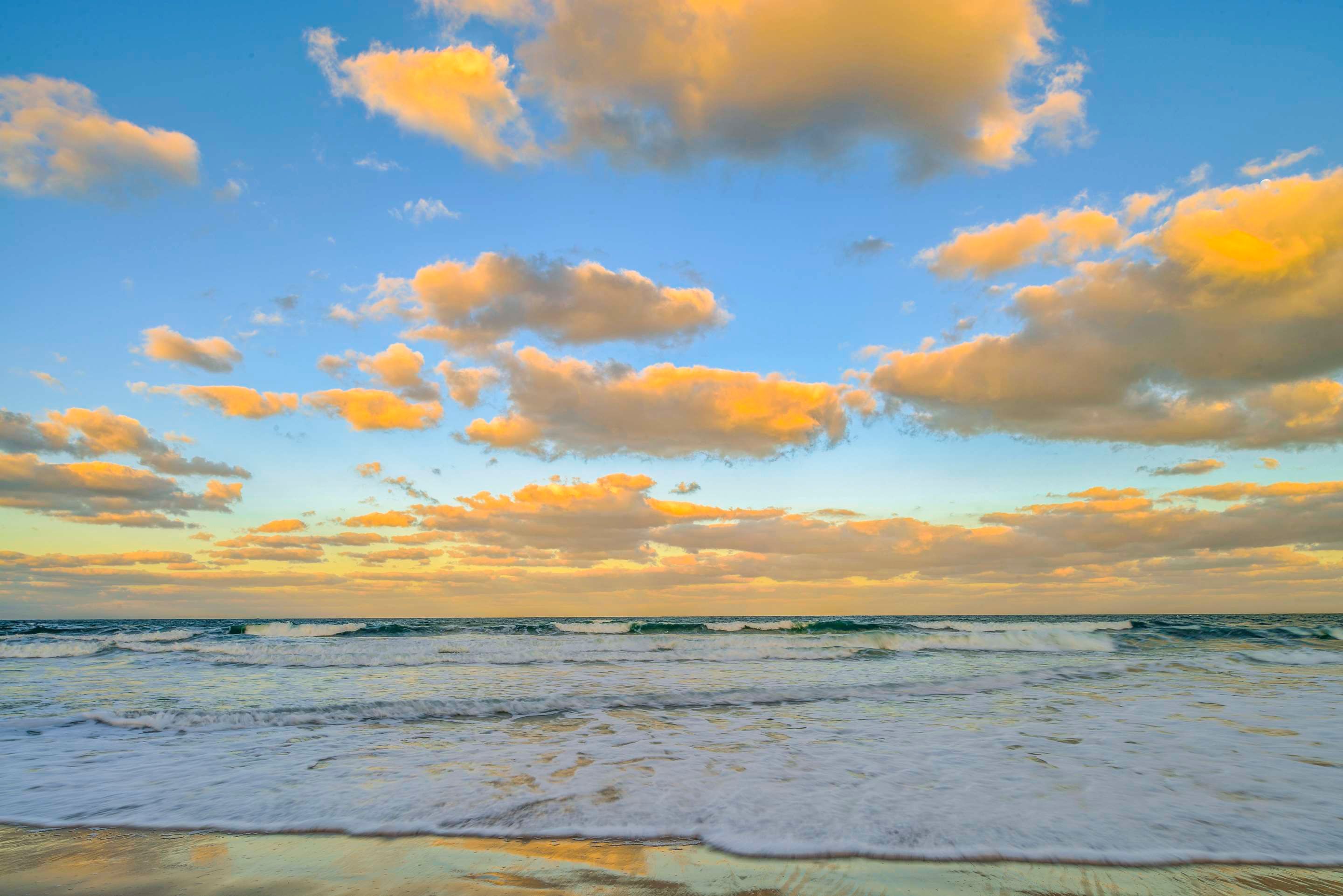 هيلتون فاكيشن كلوب ذا كوف أون أورموند بيتش