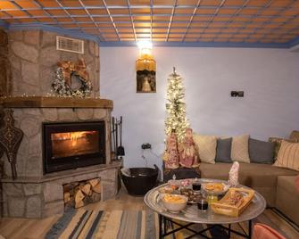 Dandy Villas Metsovo-Metska-Down Town-Up to 7 - Metsovo - Huiskamer