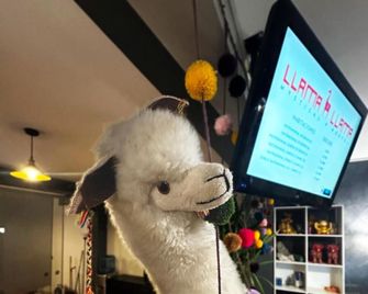 Llama Llama - Hostel & Coworking - Lima