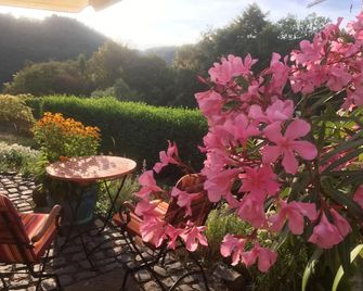 Landhotel Pension Haus Sonneck - Manderscheid - Patio