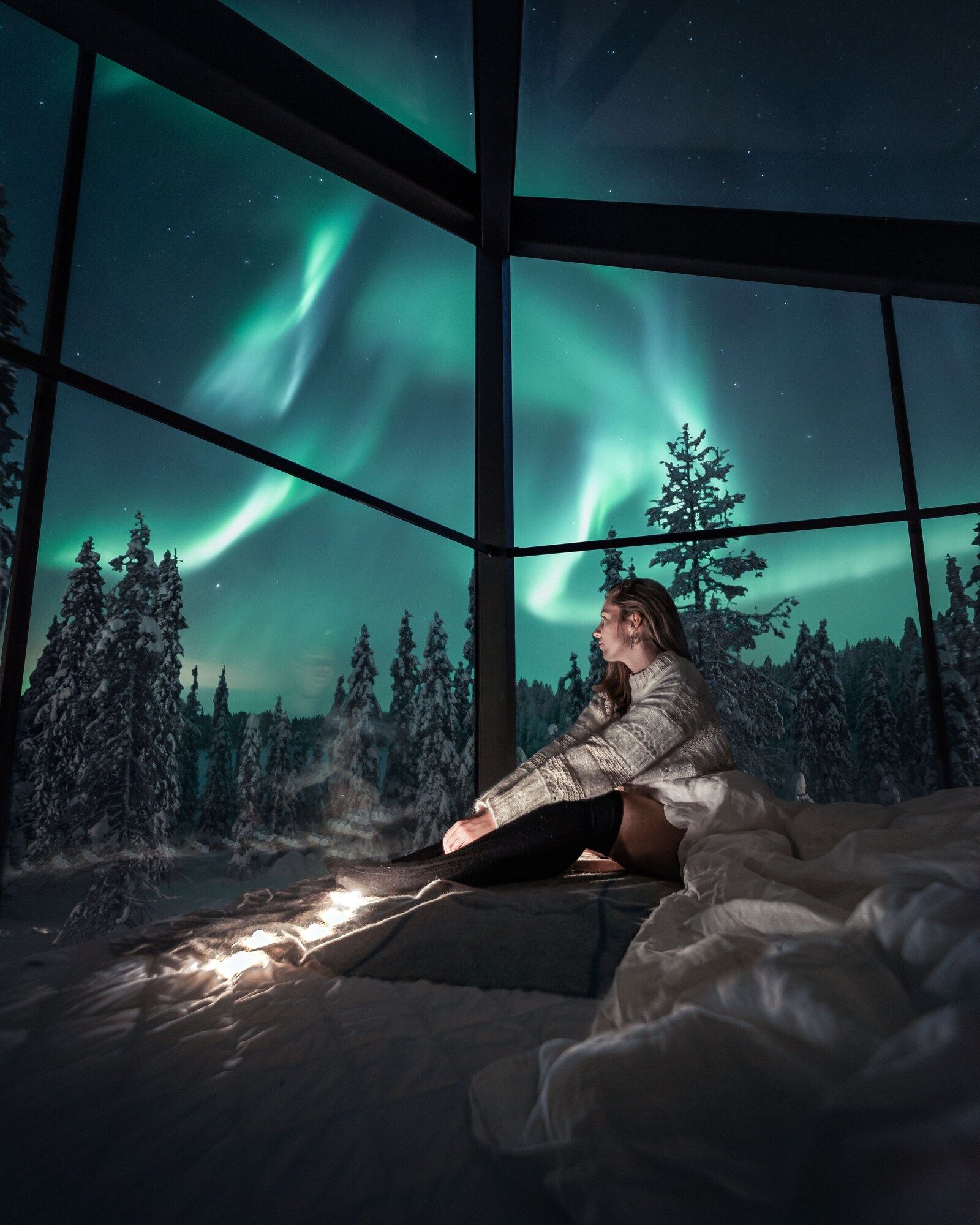 Magical Pond Nature Igloos - Ruka