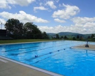 Luxury Catskill Townhouse. Pool. Game room. 4 Bedroom 3 Bath. - Roxbury - Piscina