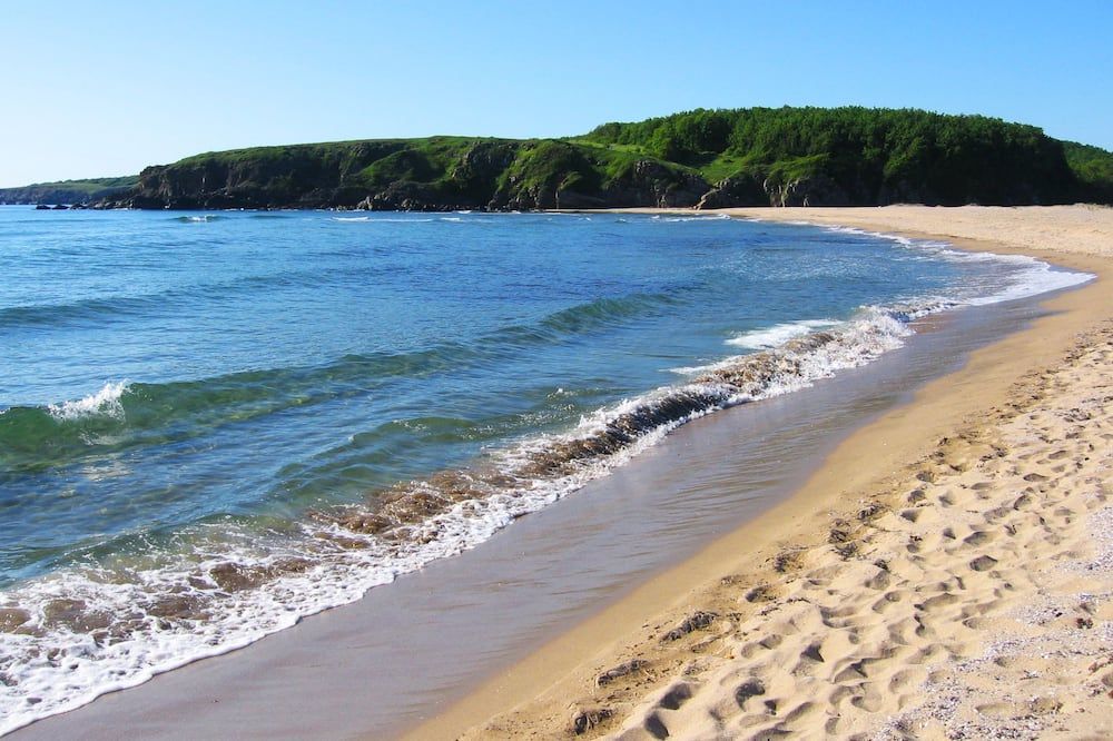 آستي آرتهوتل