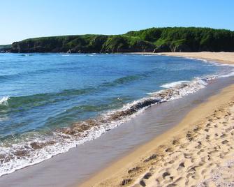 Asti Arthotel - Sinemorets - Strand