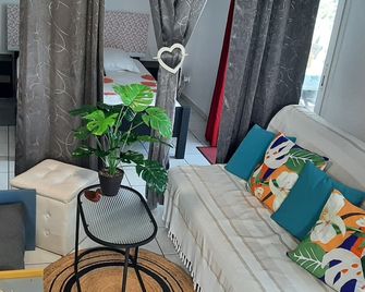 Palmer : F3 Panoramic Sea View 1-4 Persons - Petite-Ile - Stue