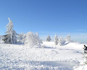 Chalet du petit ruisseau - Le Hohwald - Зручності