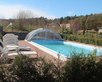 Nemo Domki Letniskowe - Wisełka - Basen