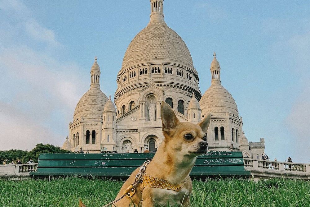 Montmartre Romantic, Bed & Breakfast - Paris - Paris
