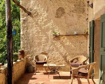 Big authentic housse from the XVI in Provence with swimming pool - Régusse - Patio