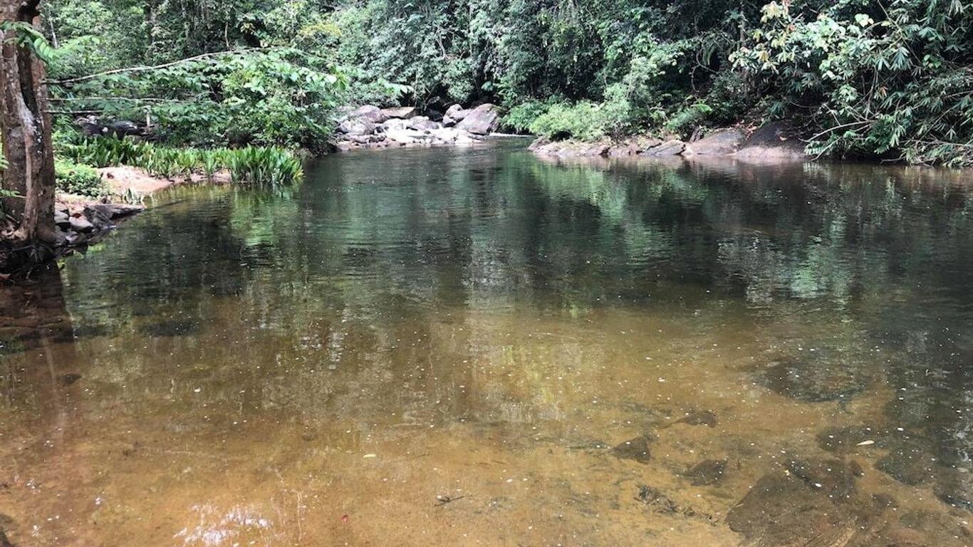 Jansens Bungalow Sinharaja