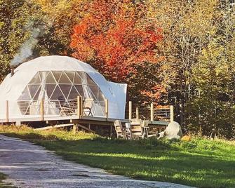 Cosy Glamping Geodesic Dome just minutes from Algonquin Park and Maynooth ON. - Maynooth