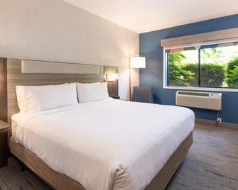 Holiday Inn Express Hotel & Suites Pleasant Prairie-Kenosha By IHG - Pleasant Prairie - Slaapkamer