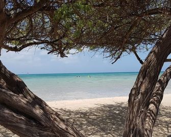 Aruba Beach Villas - Ораньєстад - Пляж