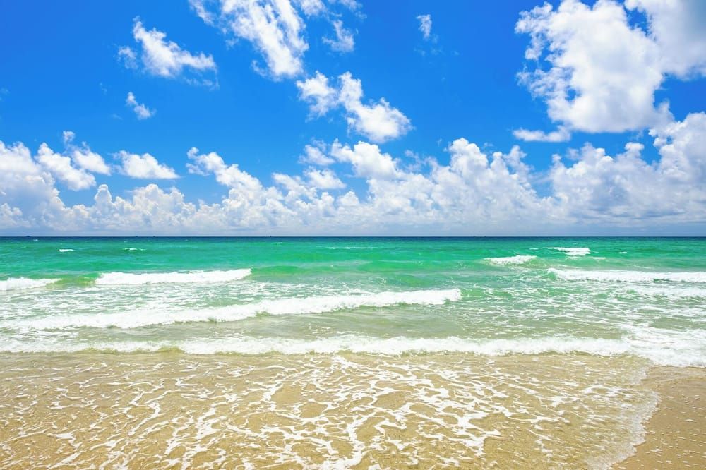 Enchanted Isle Hollywood Beach Resort - Hollywood - Beach