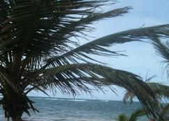 Costa Maya Bungalow by the beach - Majahual - Beach