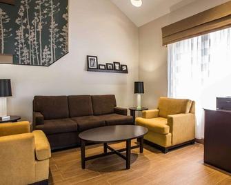 Sleep Inn Greensboro Airport - גרינסבורו - סלון