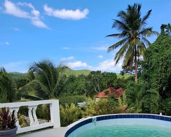 Montego Bay - Hillside Retreat - Montego Bay - Pool