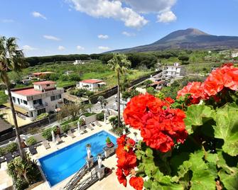 Palazzo Rosenthal Vesuview Hotel & Resort - Trecase - Piscina