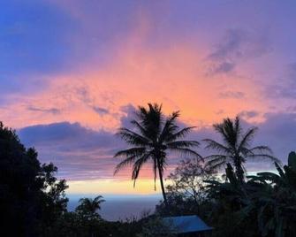 Cozy jungle boat hideaway with stunning ocean view TA-154-746-2656-01 - Kealakekua